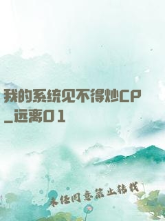 我的系统见不得炒CP