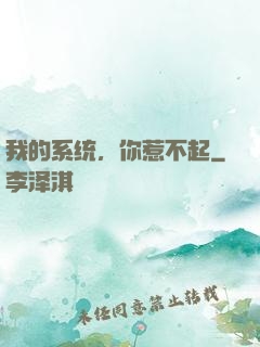 我的系统，你惹不起