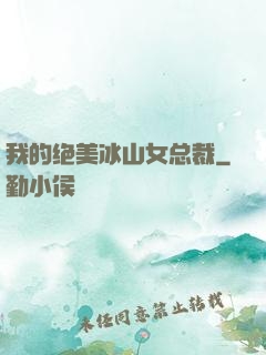我的绝美冰山女总裁