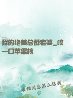 我的绝美总裁老婆