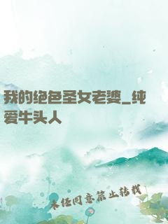 我的绝色圣女老婆