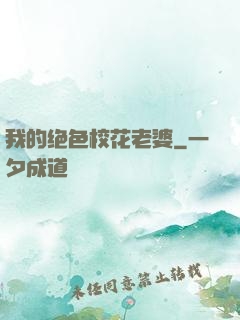 我的绝色校花老婆