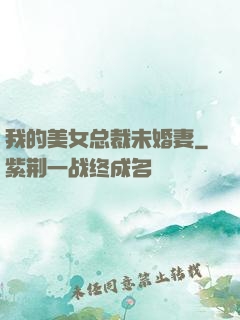 我的美女总裁未婚妻
