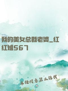 我的美女总裁老婆