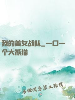 我的美女战队