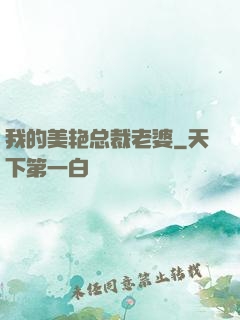 我的美艳总裁老婆