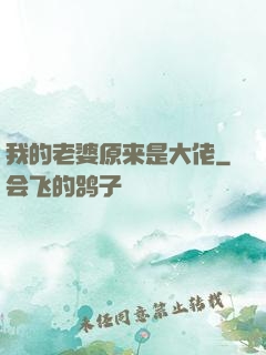 我的老婆原来是大佬