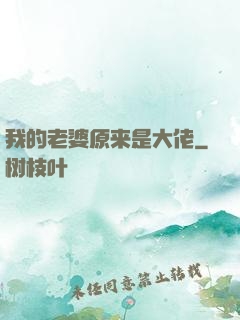 我的老婆原来是大佬