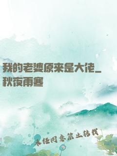 我的老婆原来是大佬