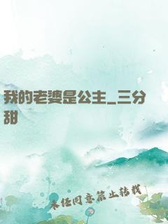 我的老婆是公主