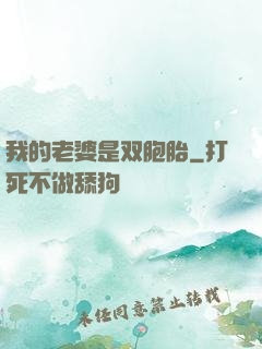 我的老婆是双胞胎