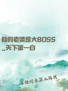 我的老婆是大BOSS