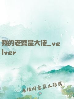 我的老婆是大佬