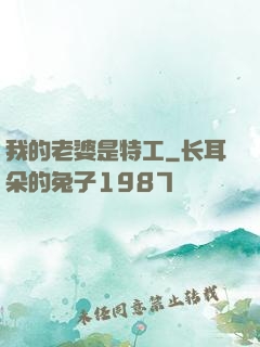我的老婆是特工