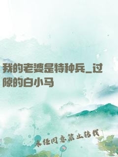 我的老婆是特种兵