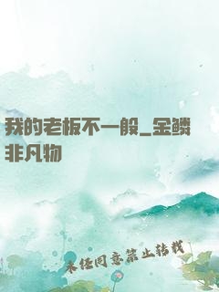 我的老板不一般