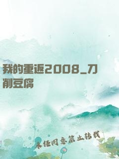 我的重返2008