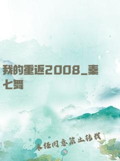 我的重返2008