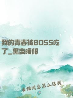 我的青春被BOSS吃了