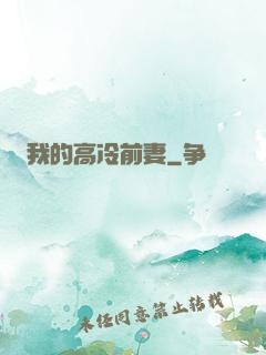 我的高冷前妻