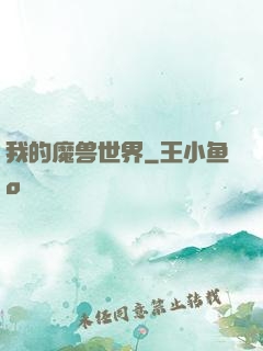 我的魔兽世界