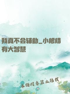 我真不会辅助
