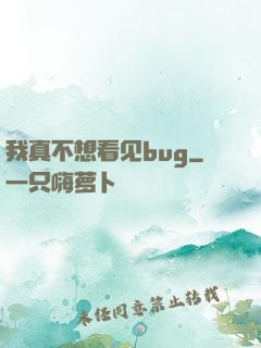 我真不想看见bug