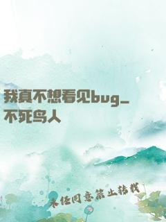 我真不想看见bug