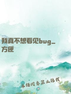 我真不想看见bug