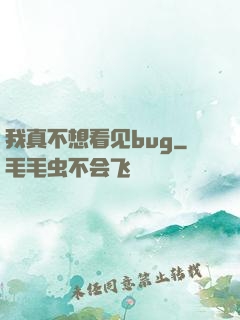我真不想看见bug