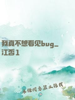 我真不想看见bug
