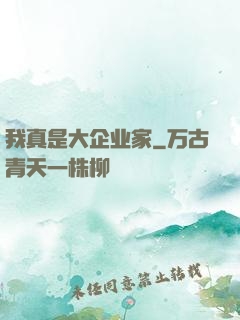 我真是大企业家