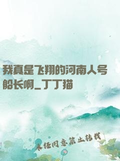 我真是飞翔的河南人号船长啊