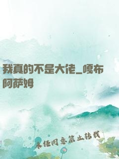 我真的不是大佬
