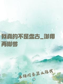 我真的不是盘古