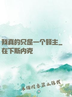 我真的只是一个领主