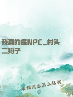 我真的是NPC