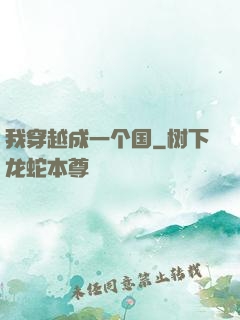 我穿越成一个国
