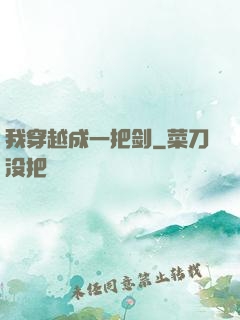 我穿越成一把剑