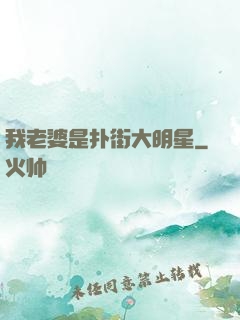 我老婆是扑街大明星