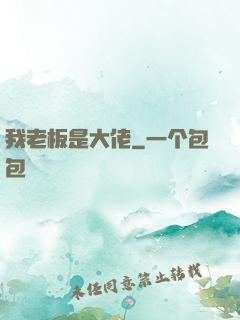 我老板是大佬
