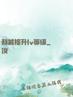 我能提升lv等级