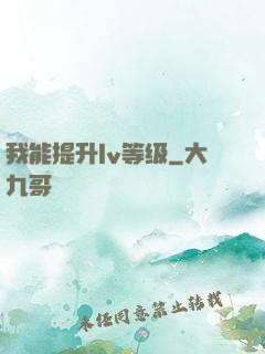 我能提升lv等级