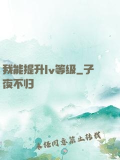 我能提升lv等级