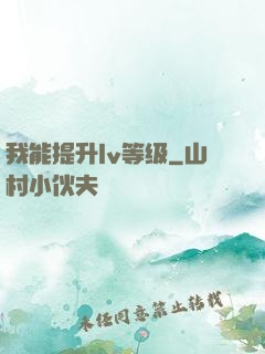 我能提升lv等级