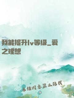我能提升lv等级