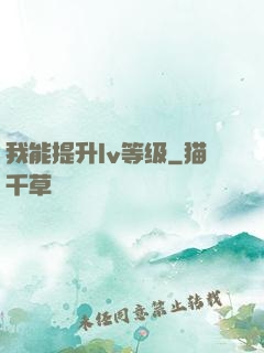 我能提升lv等级