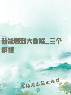 我能看到大数据