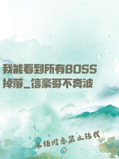 我能看到所有BOSS掉落