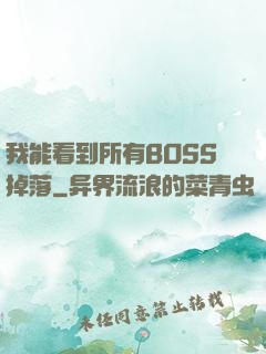 我能看到所有BOSS掉落